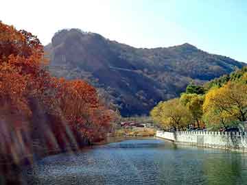 管家婆黑白马报图库，苯酚市场